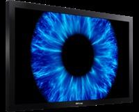 InFocus INF6501 LCD Monitor