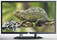 Barco LDX-55 LCD Monitor