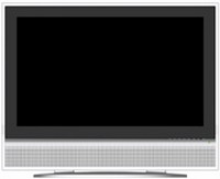 VIZIO L32 LCD TV